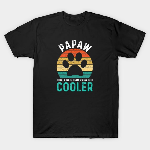 Papaw Like A Regular Papa But Cooler T-Shirt by HammerSonic